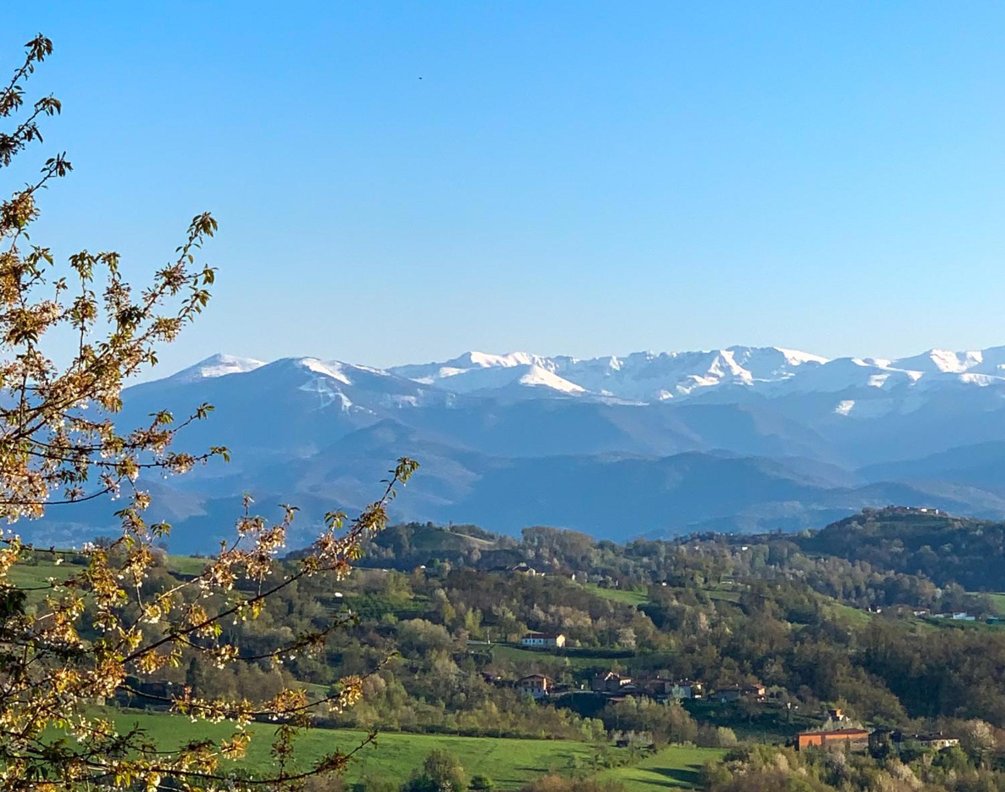 Just Langhe Casa Barolo Villa โนเวลโล ภายนอก รูปภาพ
