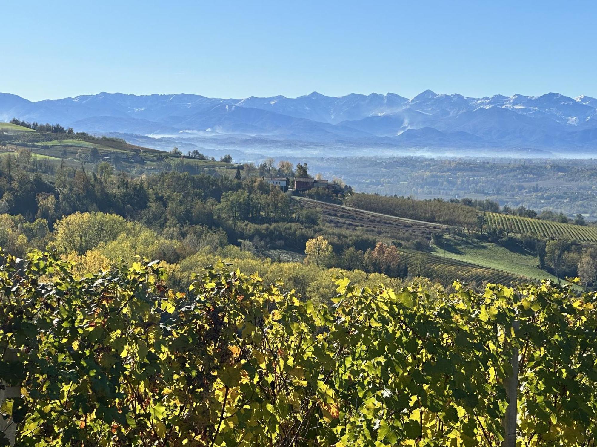 Just Langhe Casa Barolo Villa โนเวลโล ภายนอก รูปภาพ