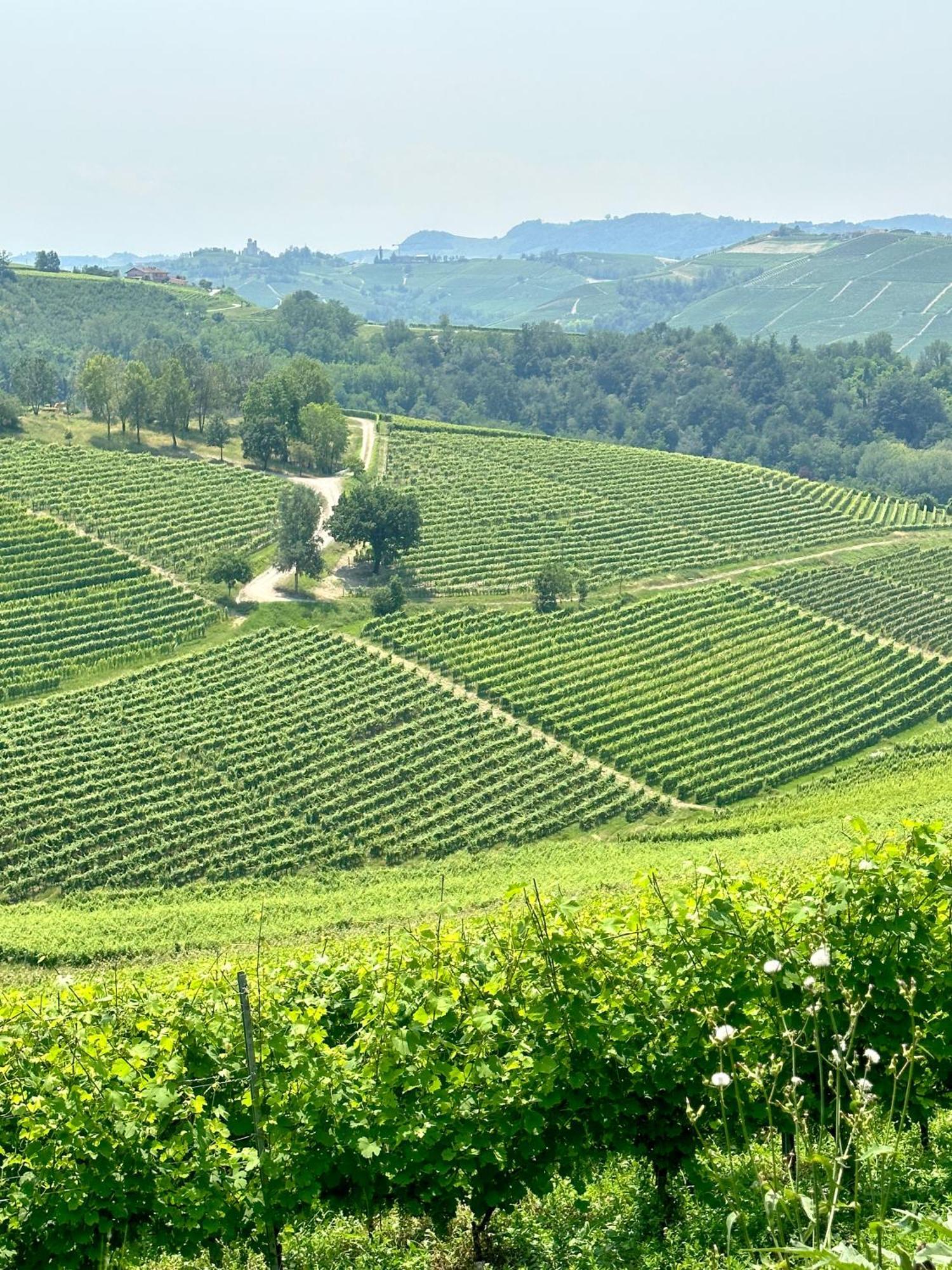 Just Langhe Casa Barolo Villa โนเวลโล ภายนอก รูปภาพ